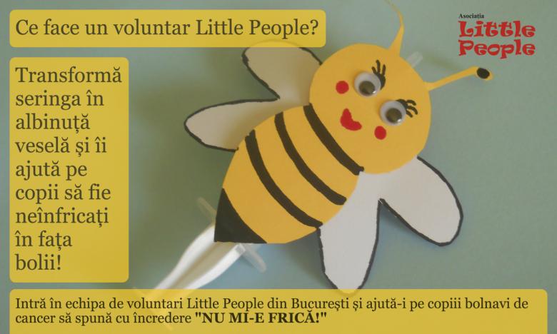 Ce face un voluntar Little People Bucharest April 2014 1 3